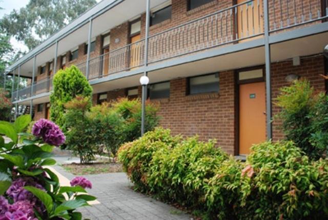 Red Cedars Motel Canberra Exteriör bild
